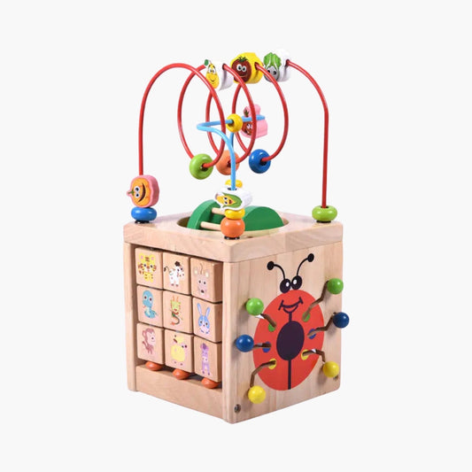 Houten Educatief Speelgoed – Lieveheersbeestje Speelbox BabyEmpire